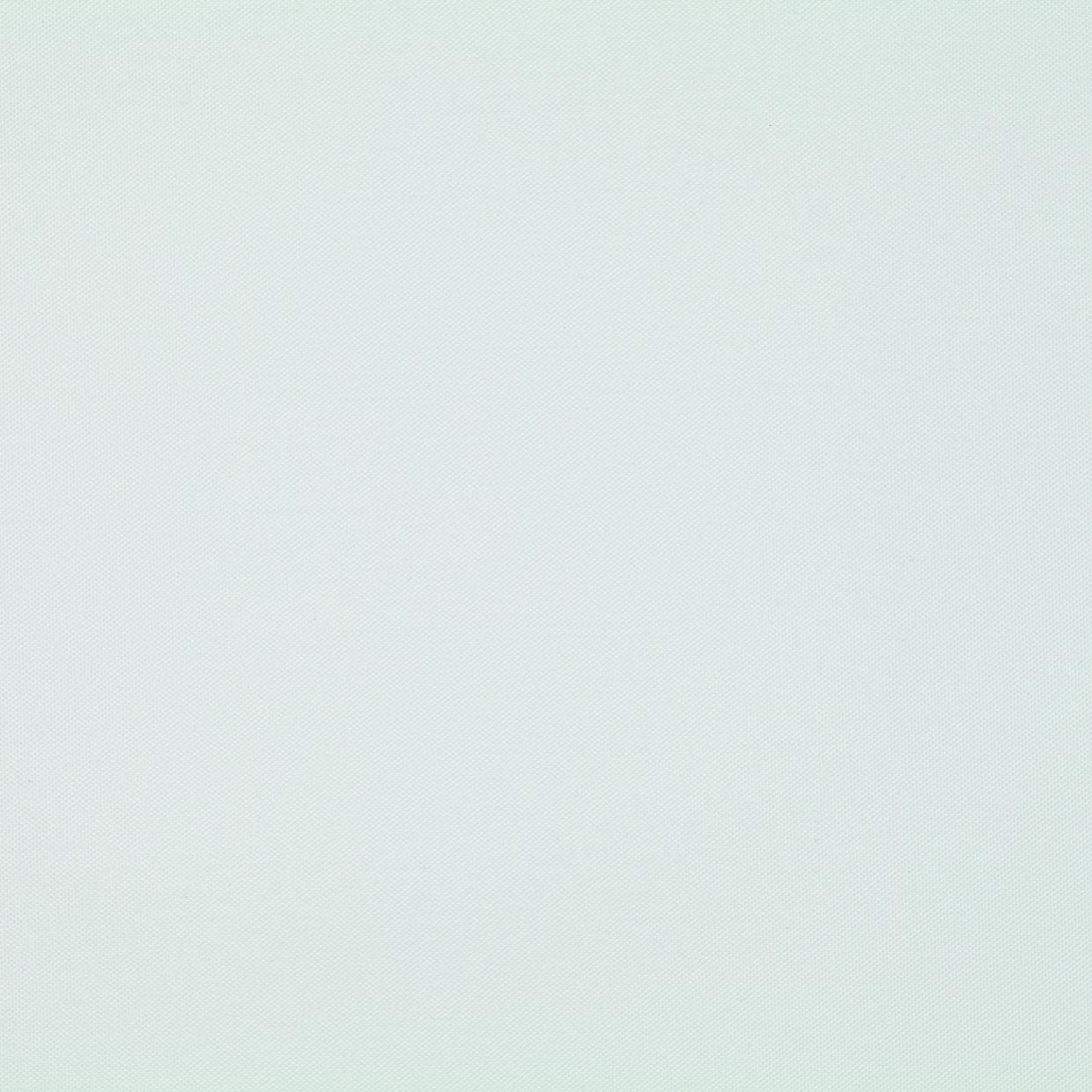 1-V01 wit